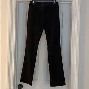 Express Dress Pant